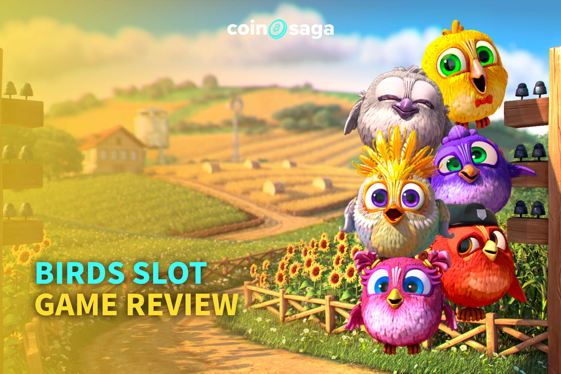 Birds Slot Game Review