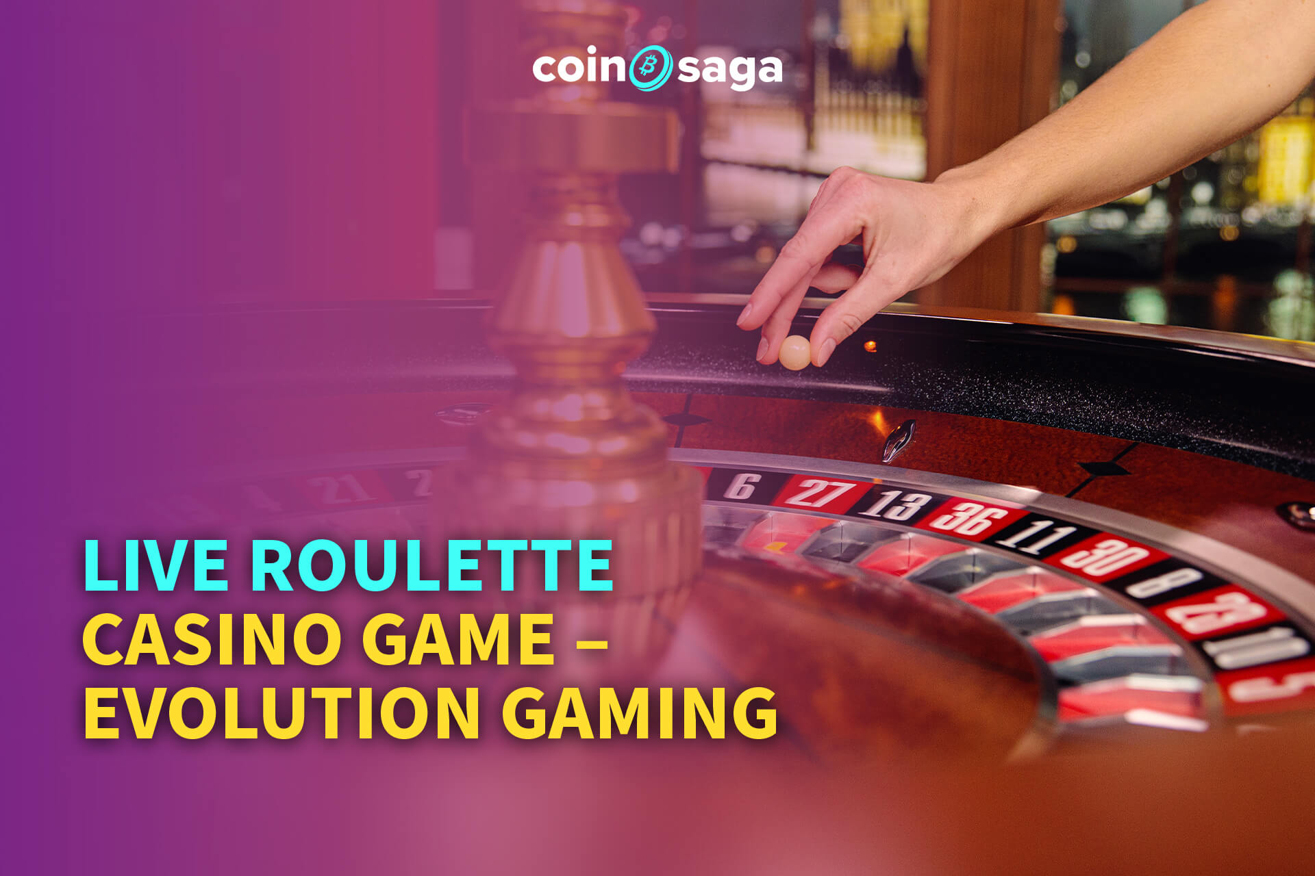 Live Roulette Casino Game